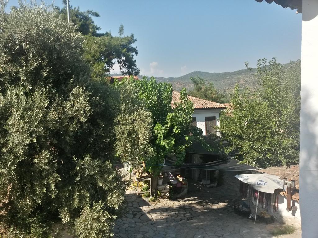 Gasthaus Zeytinli Konak Selçuk Zimmer foto
